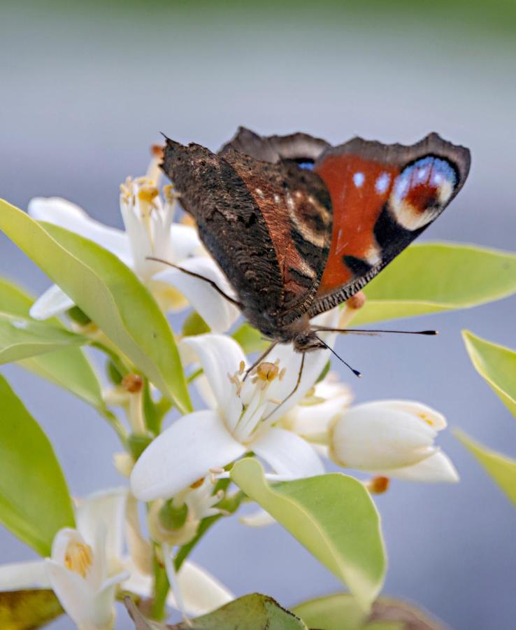Birgits Lodge رينباخ المظهر الخارجي الصورة